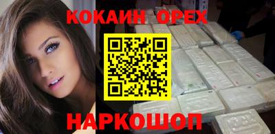 индика Новодвинск