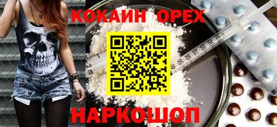 индика Новодвинск