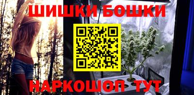 индика Новодвинск
