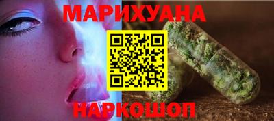 индика Новодвинск