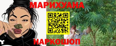 индика Новодвинск