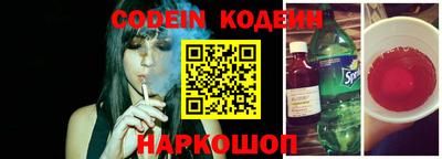 индика Новодвинск