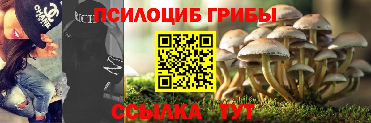 Галлюциногенные грибы мицелий  Псилоцибиновые грибы ЛСД  Вход с VPN  Сланцы 